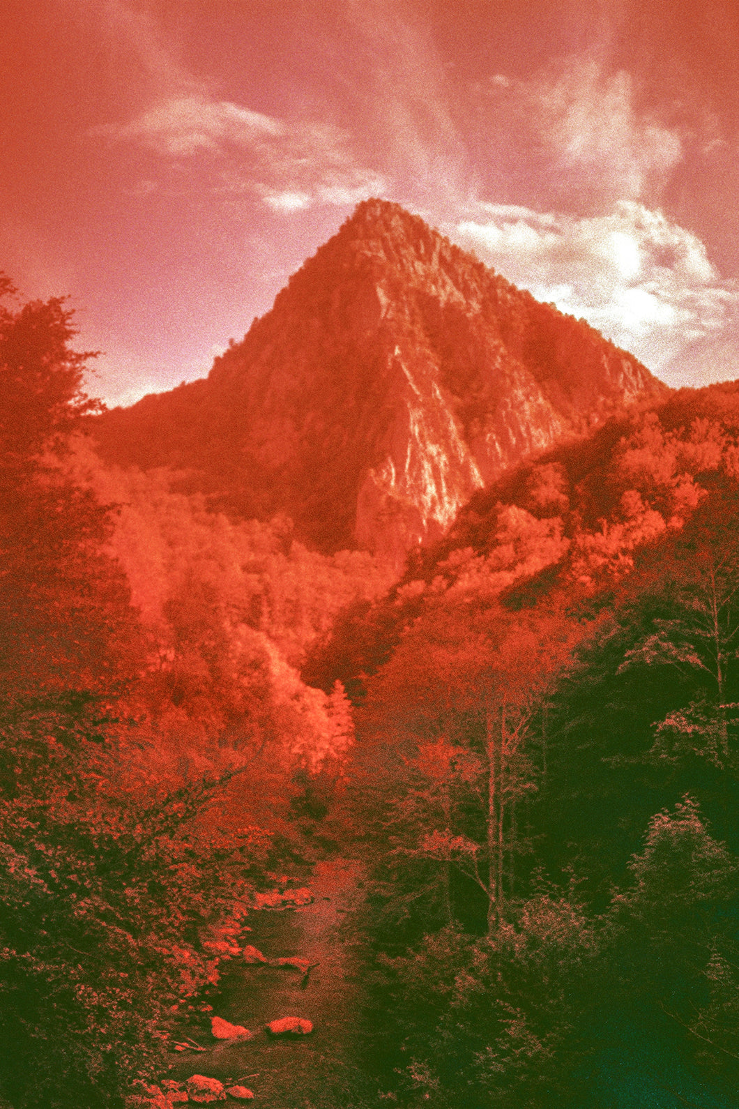 (EDITION PRINT) Ioana Cirlig - The New Empire